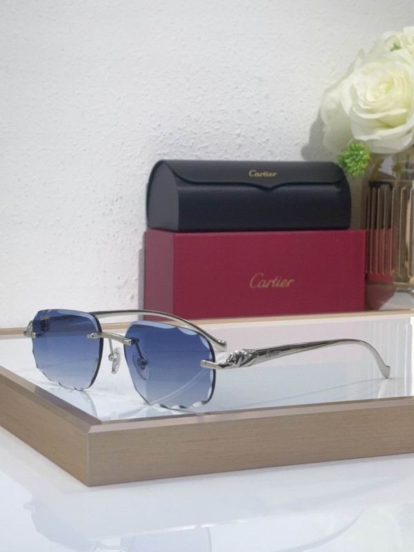Cartier Glasses 08smh202 (3)
