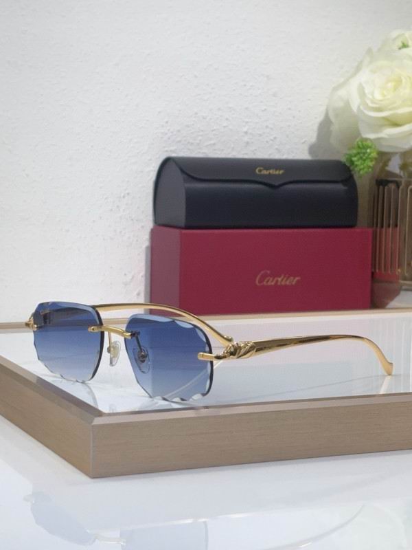 Cartier Glasses 08smh202 (4)