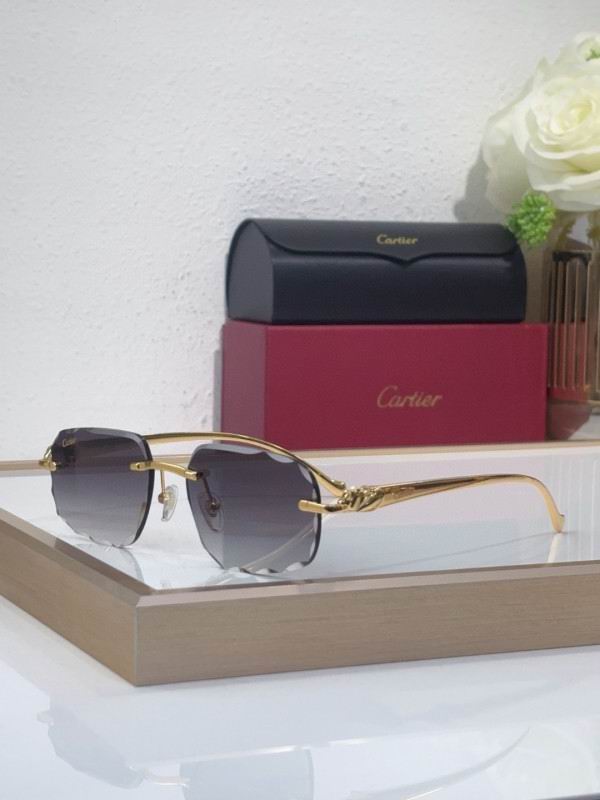 Cartier Glasses 08smh202 (6)