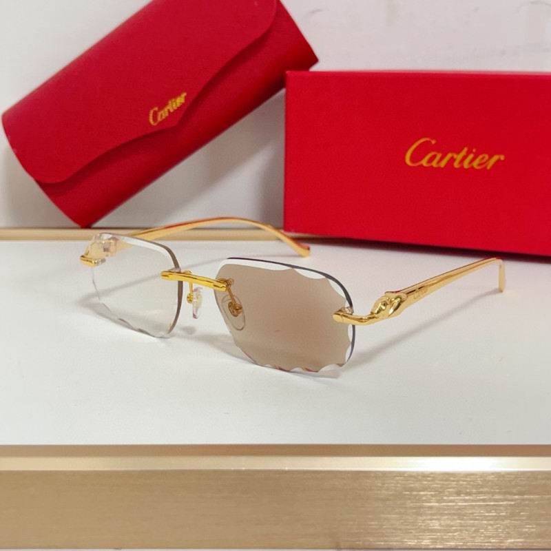 Cartier Glasses 08smh203 (3)