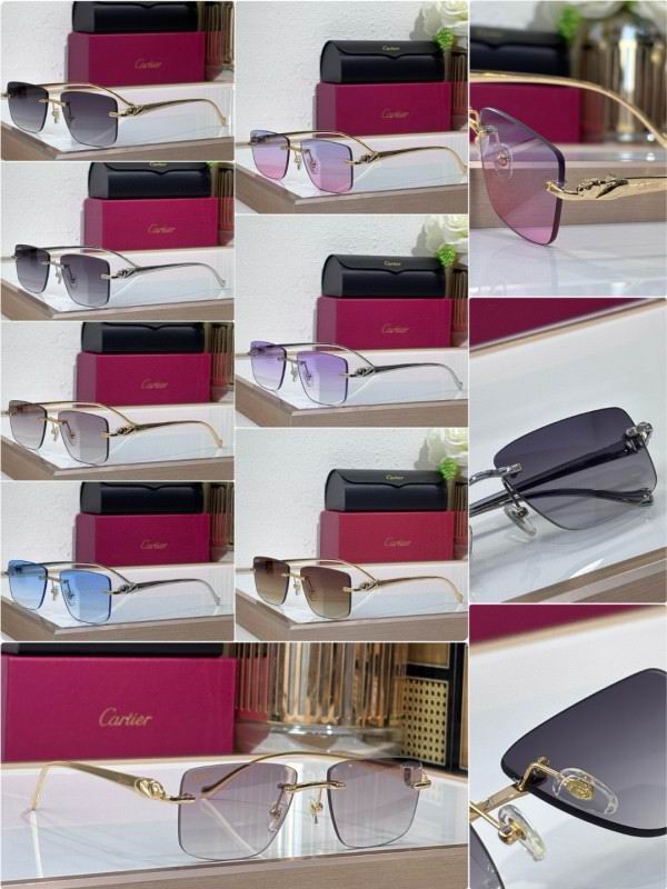 Cartier Glasses 08smh204 (10)