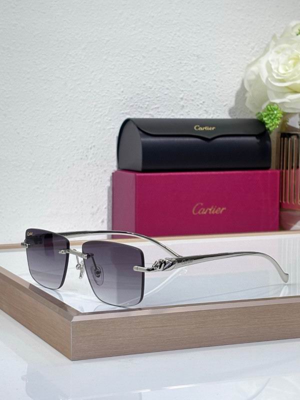 Cartier Glasses 08smh204 (2)