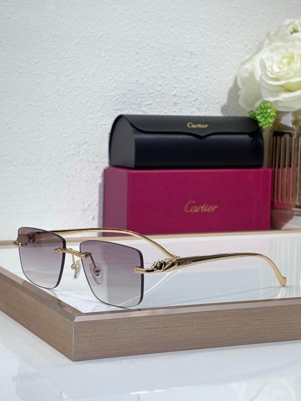 Cartier Glasses 08smh204 (3)
