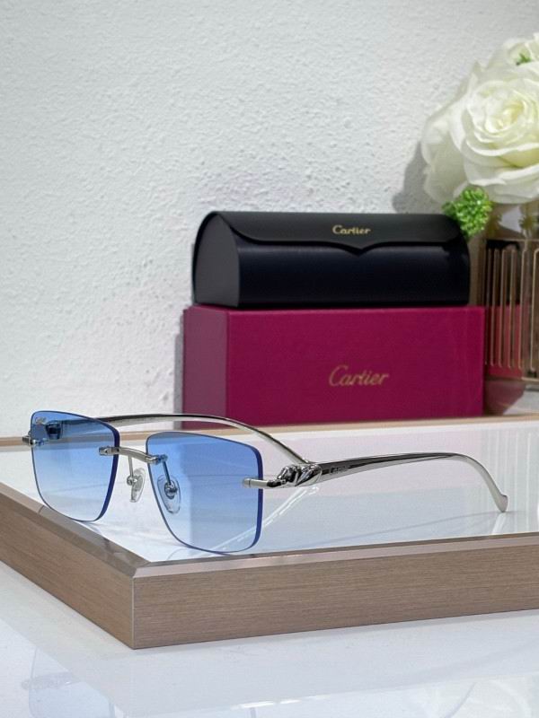 Cartier Glasses 08smh204 (4)