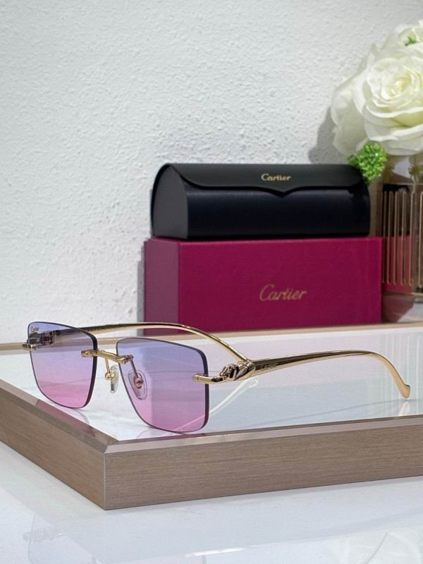 Cartier Glasses 08smh204 (5)