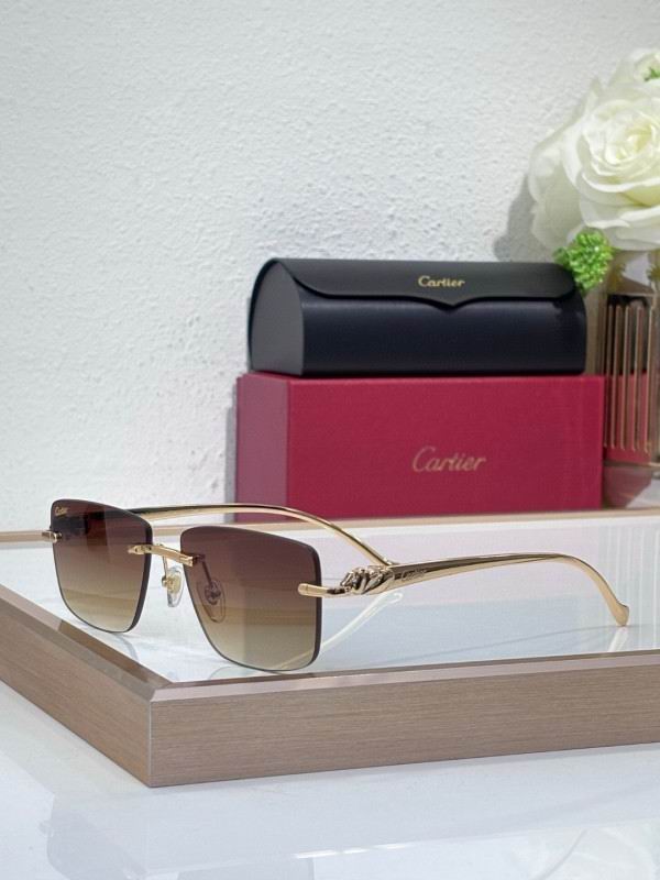 Cartier Glasses 08smh204 (7)