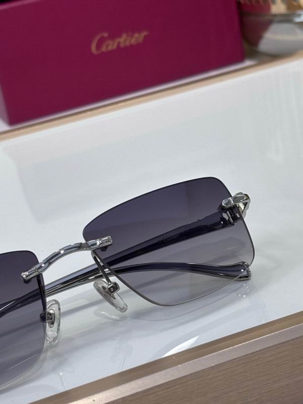 Cartier Glasses 08smh204 (8)