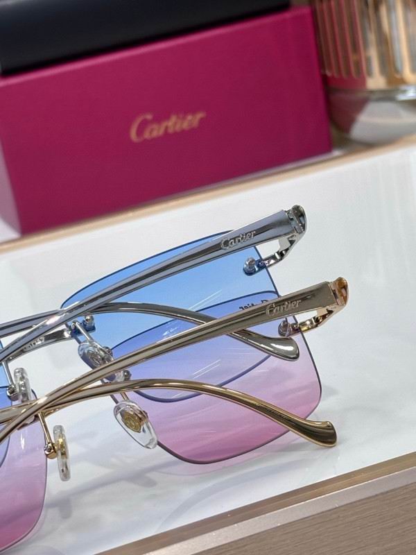 Cartier Glasses 08smh204 (9)