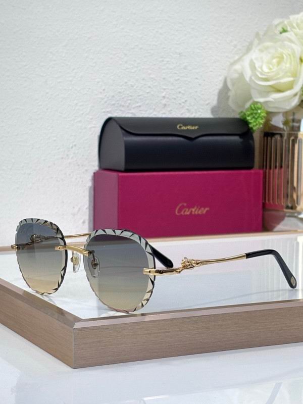 Cartier Glasses 08smh205 (1)