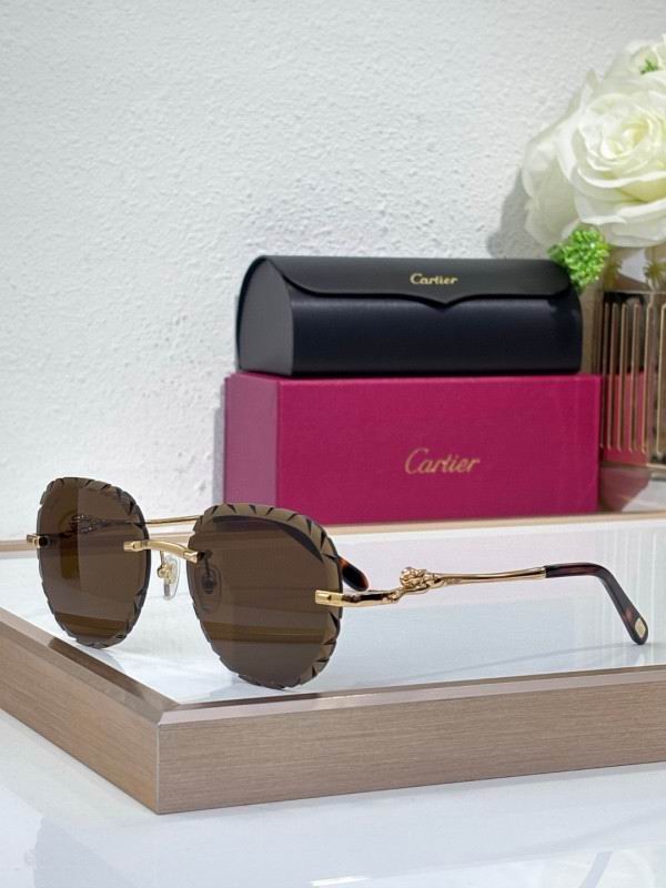 Cartier Glasses 08smh205 (2)