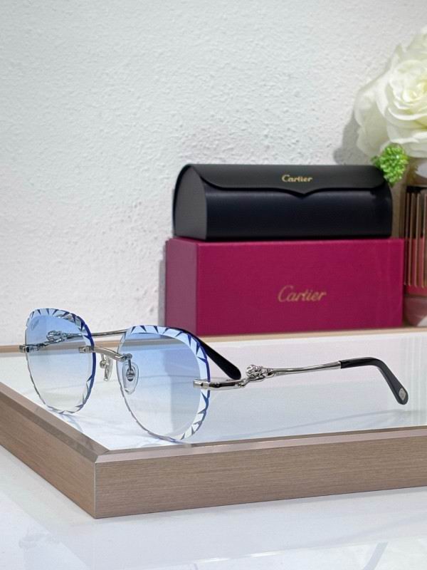 Cartier Glasses 08smh205 (4)