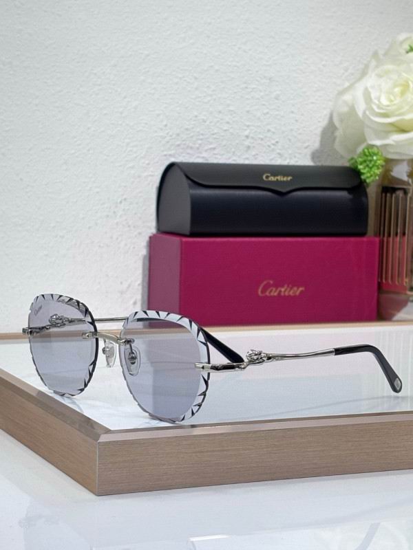 Cartier Glasses 08smh205 (5)