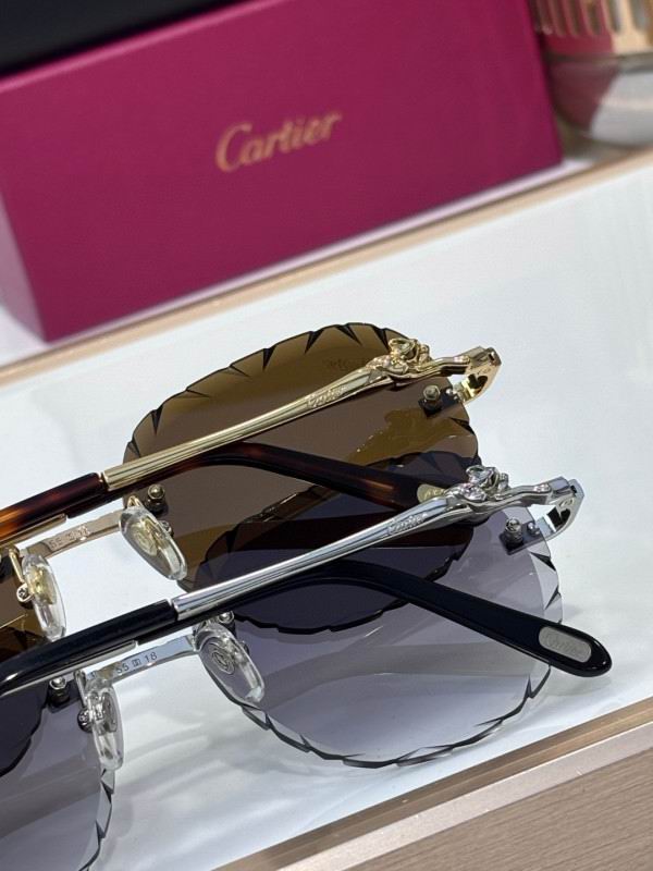 Cartier Glasses 08smh205 (8)