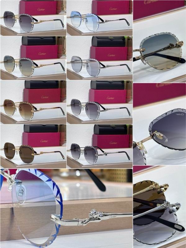 Cartier Glasses 08smh205 (9)