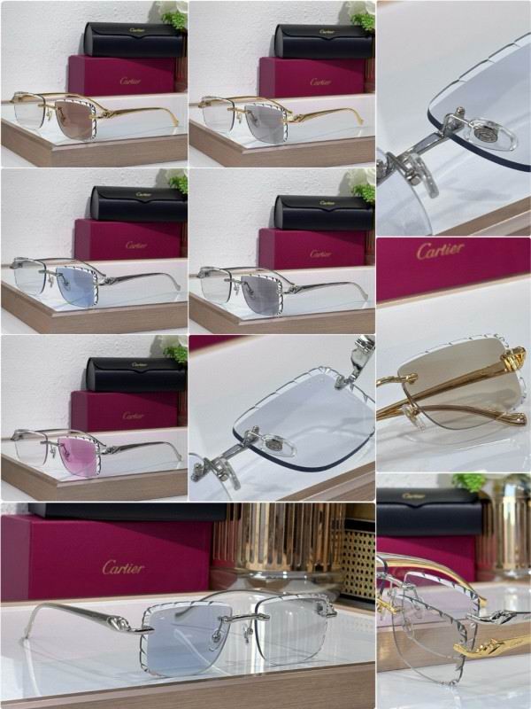 Cartier Glasses 08smh206 (10)