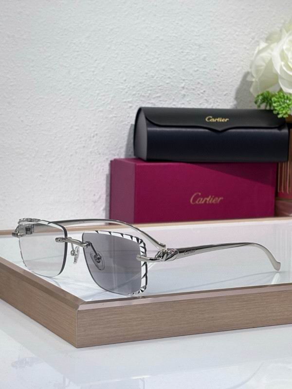 Cartier Glasses 08smh206 (4)