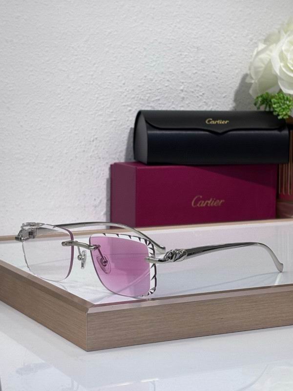 Cartier Glasses 08smh206 (5)
