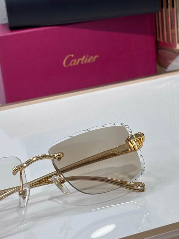 Cartier Glasses 08smh206 (7)