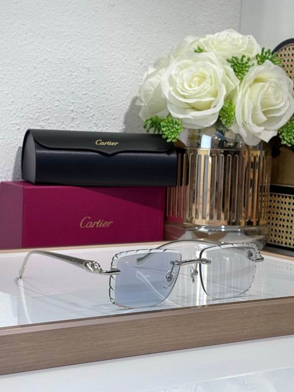 Cartier Glasses 08smh206 (8)