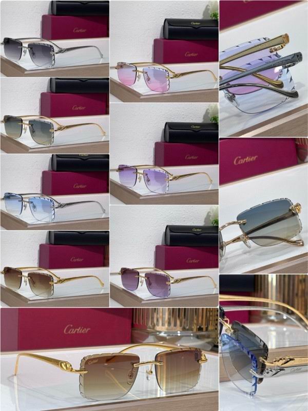 Cartier Glasses 08smh207 (10)
