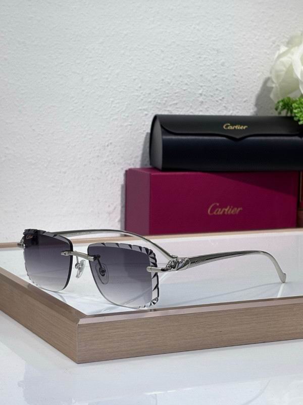 Cartier Glasses 08smh207 (2)