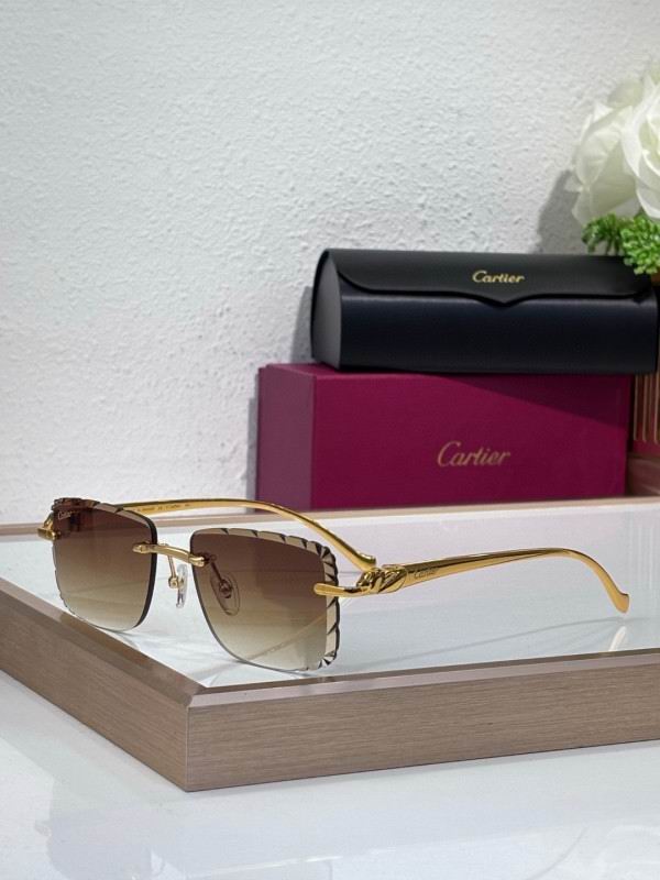 Cartier Glasses 08smh207 (5)