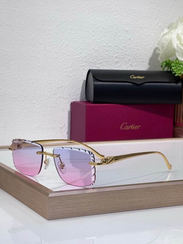 Cartier Glasses 08smh207 (6)