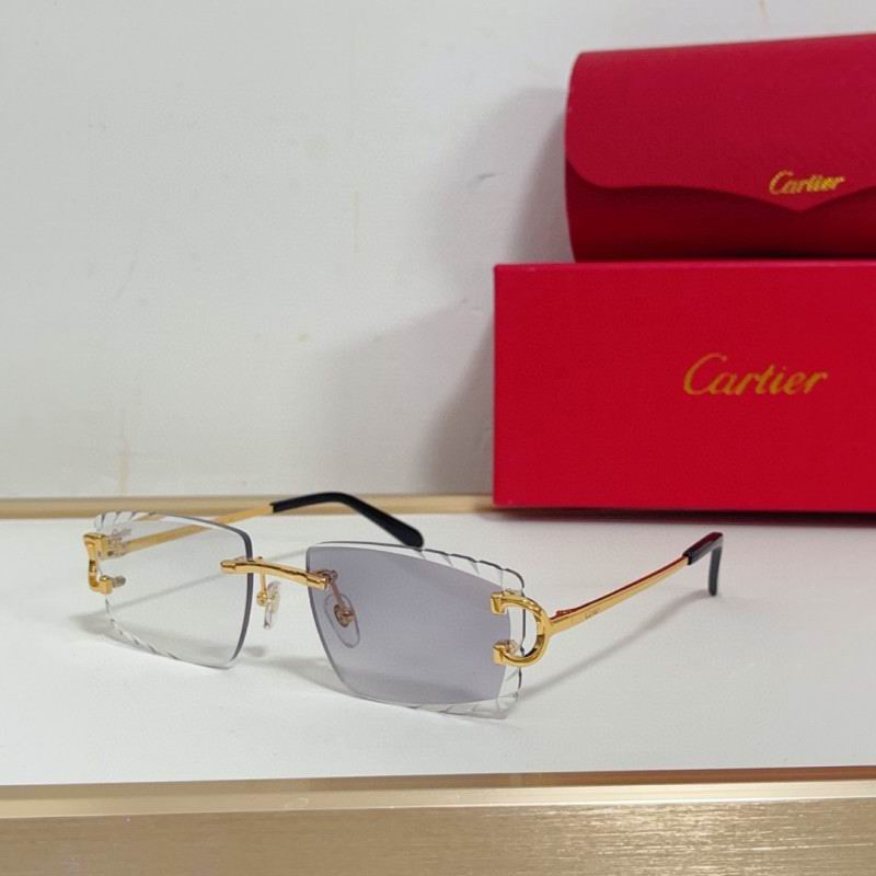 Cartier Glasses 08smh208 (1)