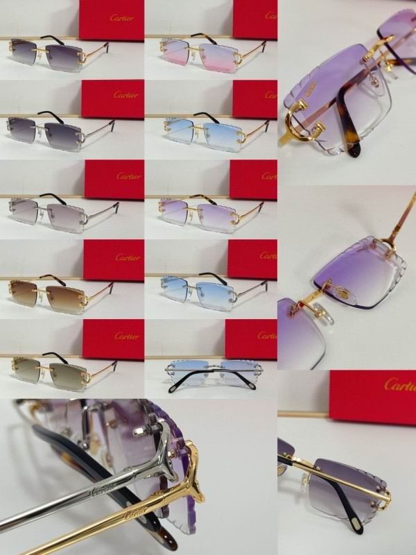 Cartier Glasses 08smh209 (10)