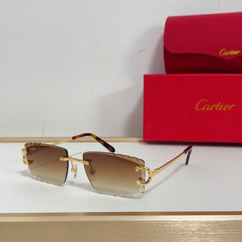 Cartier Glasses 08smh209 (4)