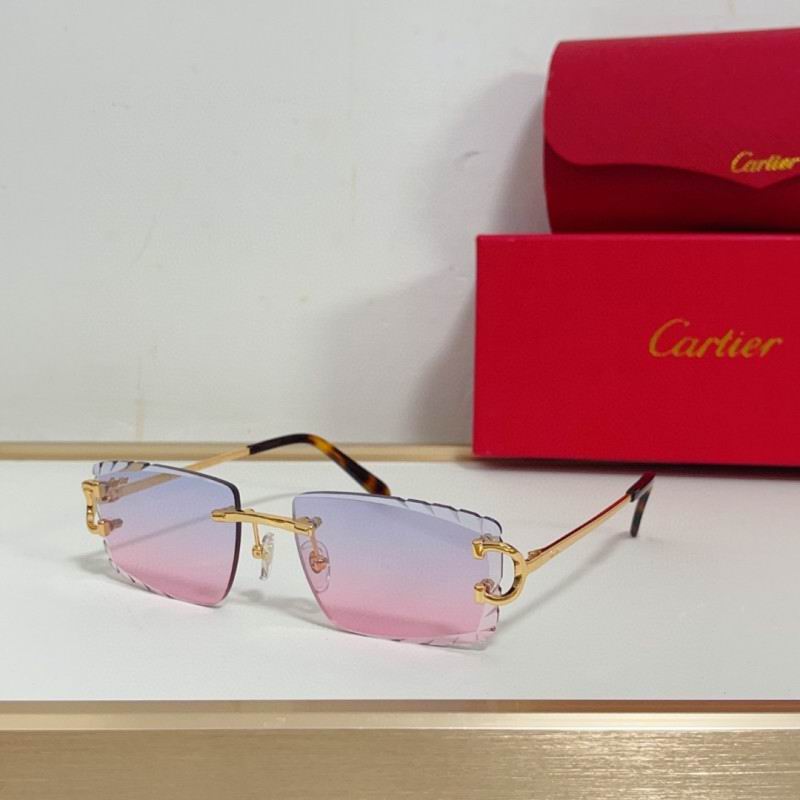 Cartier Glasses 08smh209 (6)