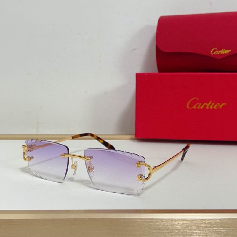 Cartier Glasses 08smh209 (8)