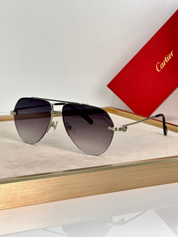 Cartier Glasses 08smh21 (1)