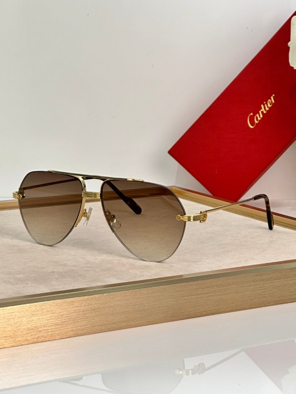 Cartier Glasses 08smh21 (4)