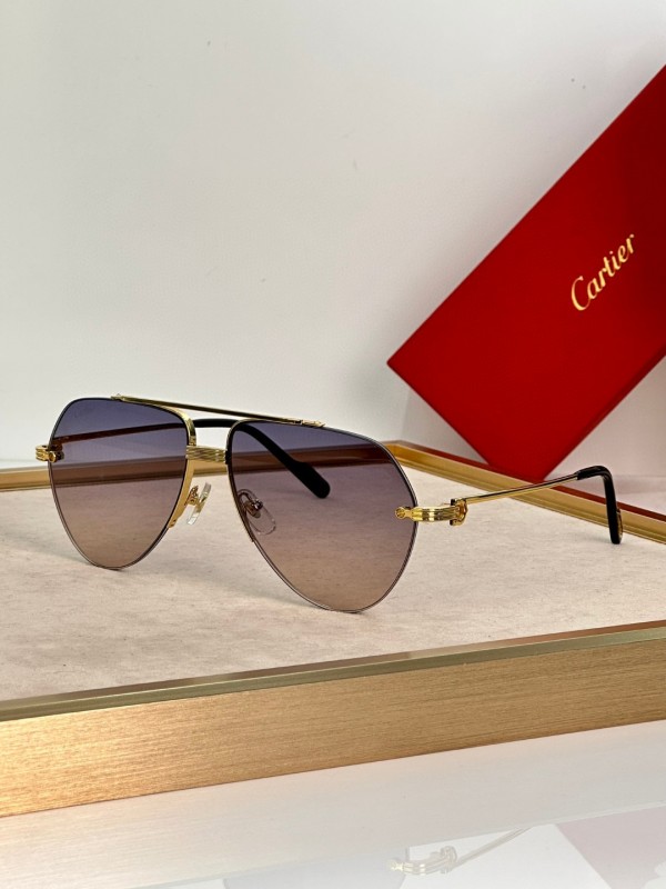 Cartier Glasses 08smh21 (5)