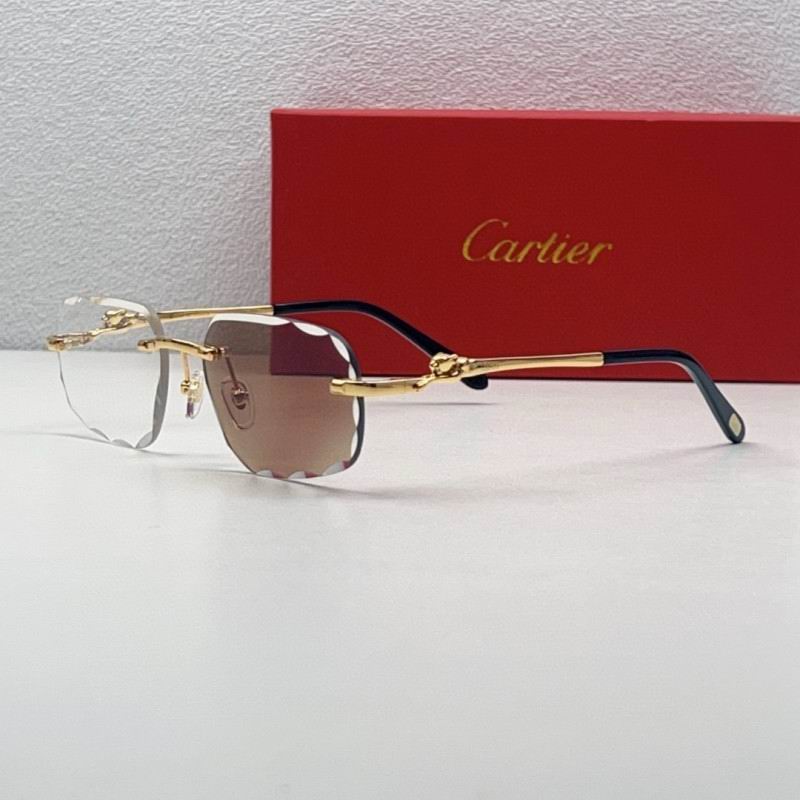 Cartier Glasses 08smh210 (2)