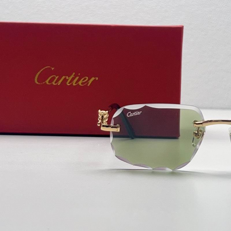 Cartier Glasses 08smh210 (7)