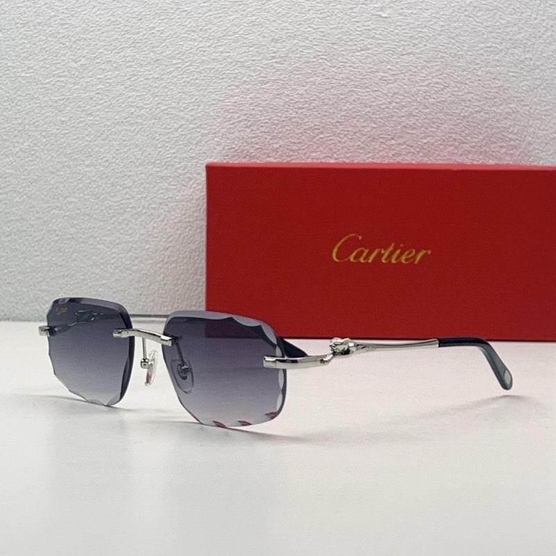 Cartier Glasses 08smh211 (1)