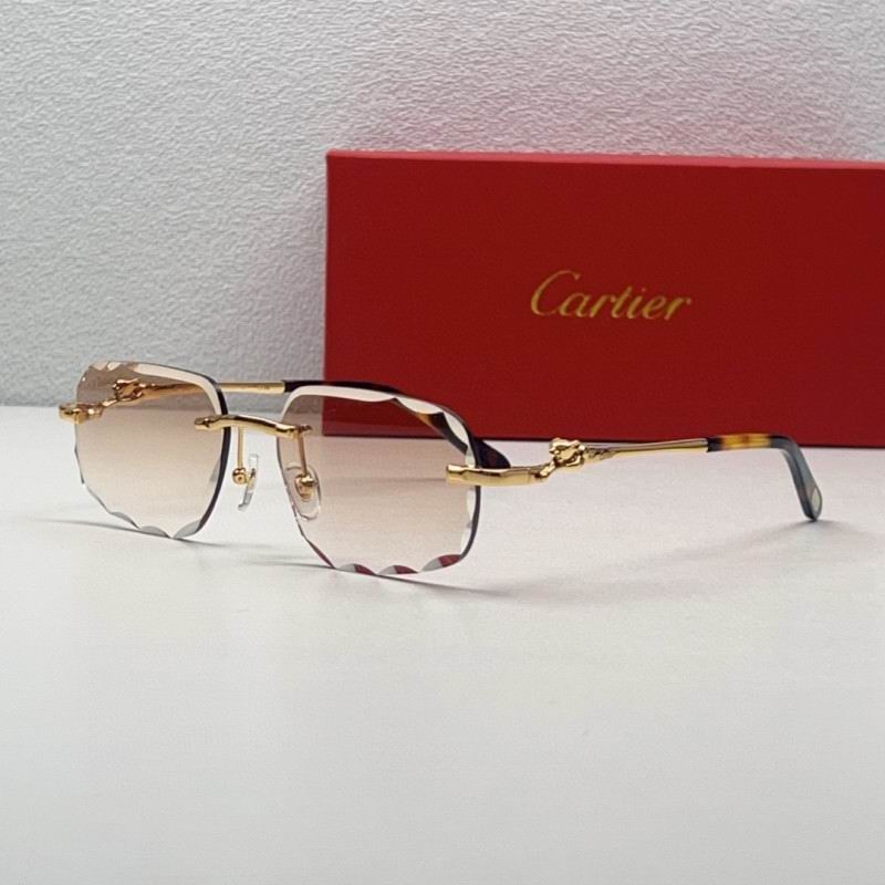 Cartier Glasses 08smh211 (2)