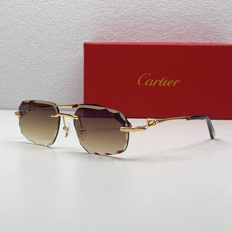 Cartier Glasses 08smh211 (3)