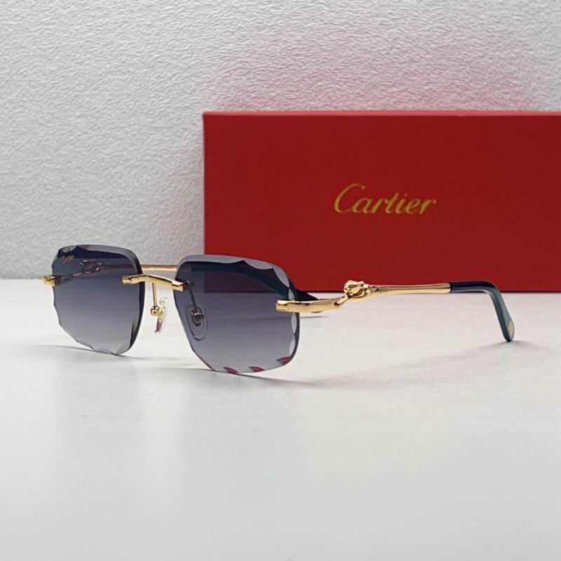 Cartier Glasses 08smh211 (4)