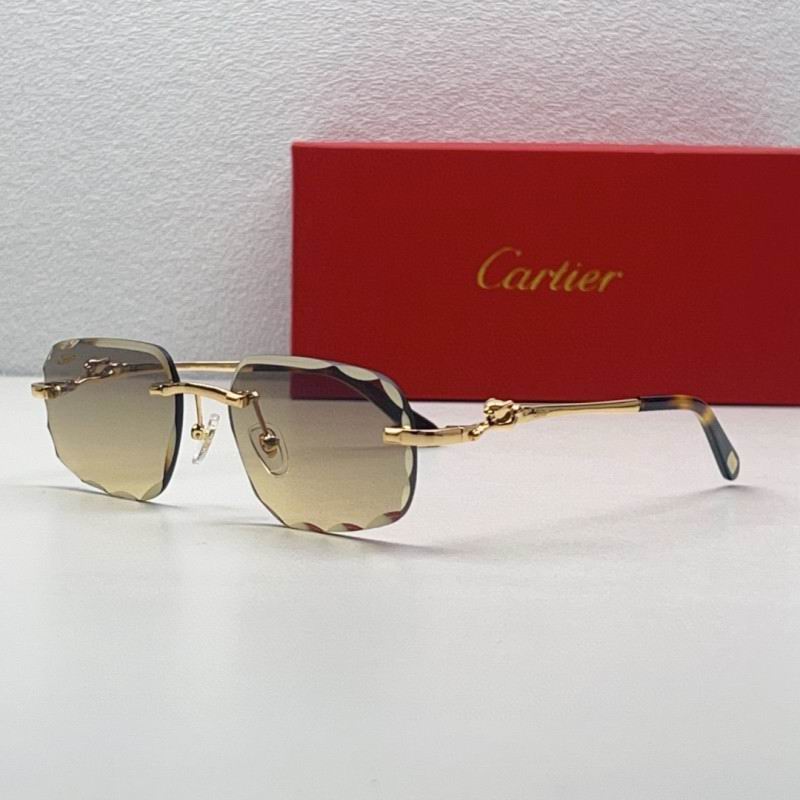 Cartier Glasses 08smh211 (5)