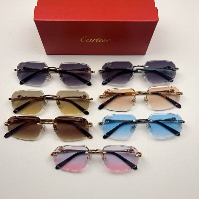 Cartier Glasses 08smh211 (9)
