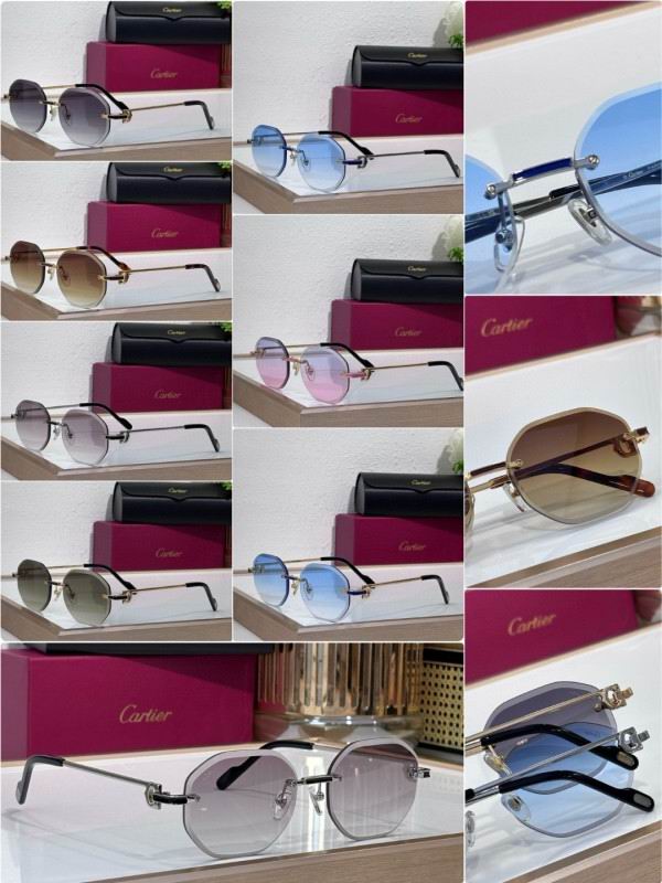 Cartier Glasses 08smh212 (10)