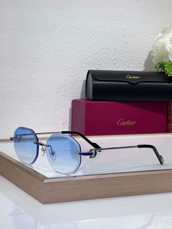 Cartier Glasses 08smh212 (5)