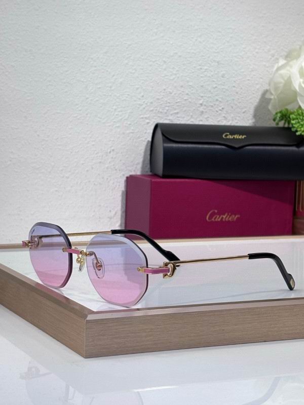 Cartier Glasses 08smh212 (6)