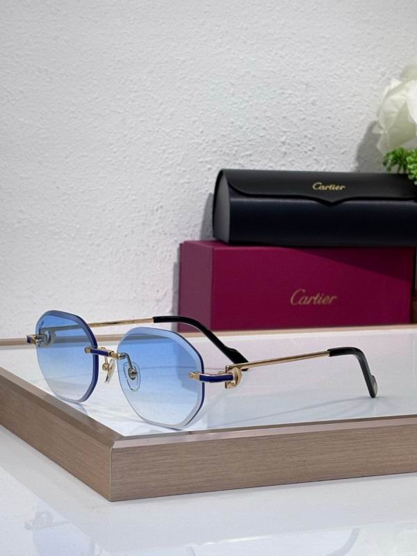 Cartier Glasses 08smh212 (7)