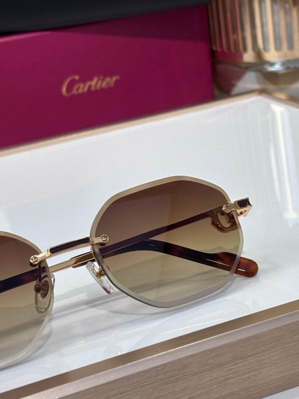 Cartier Glasses 08smh212 (8)