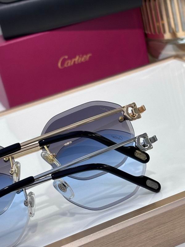 Cartier Glasses 08smh212 (9)