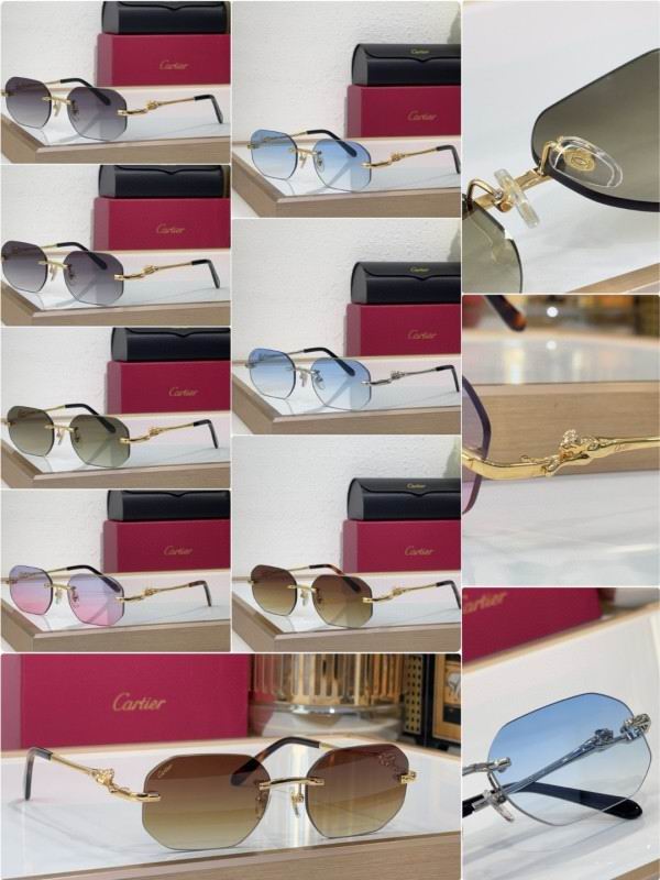 Cartier Glasses 08smh213 (10)